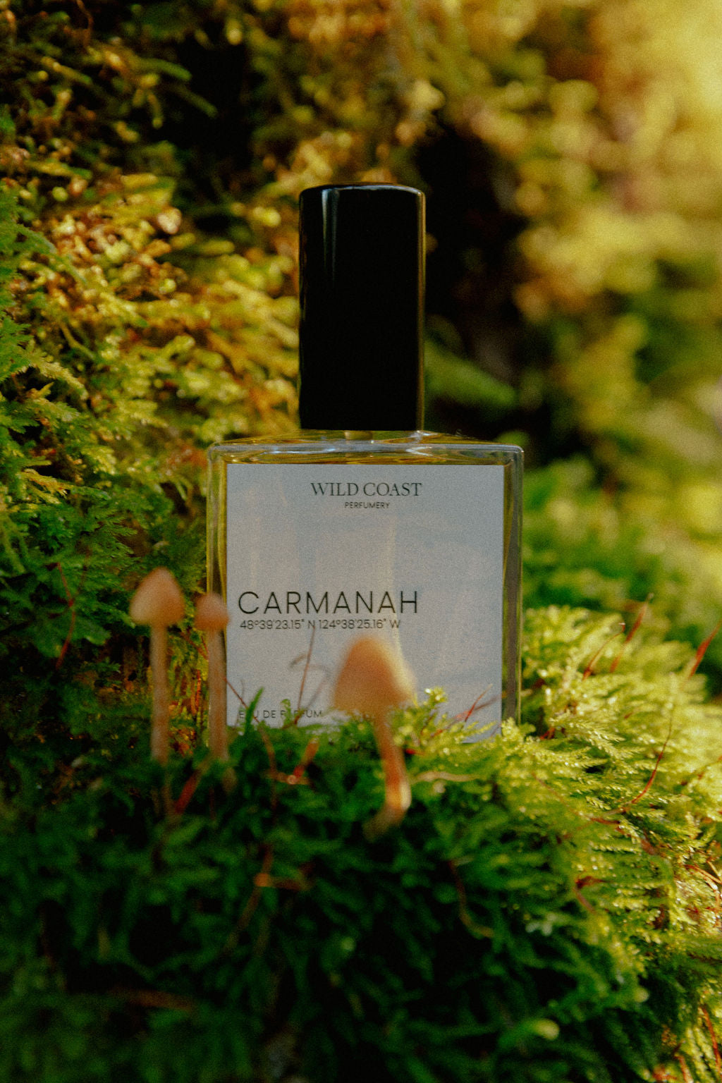 Carmanah eau de parfum